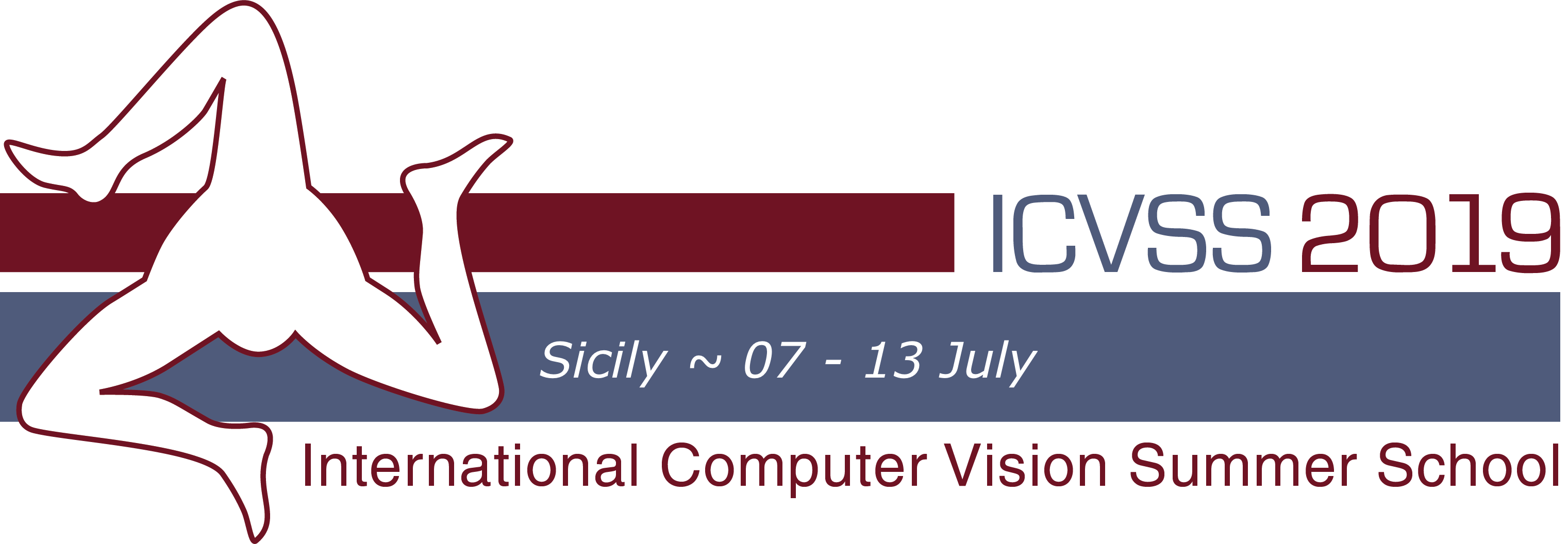 logo ICVSS 2019