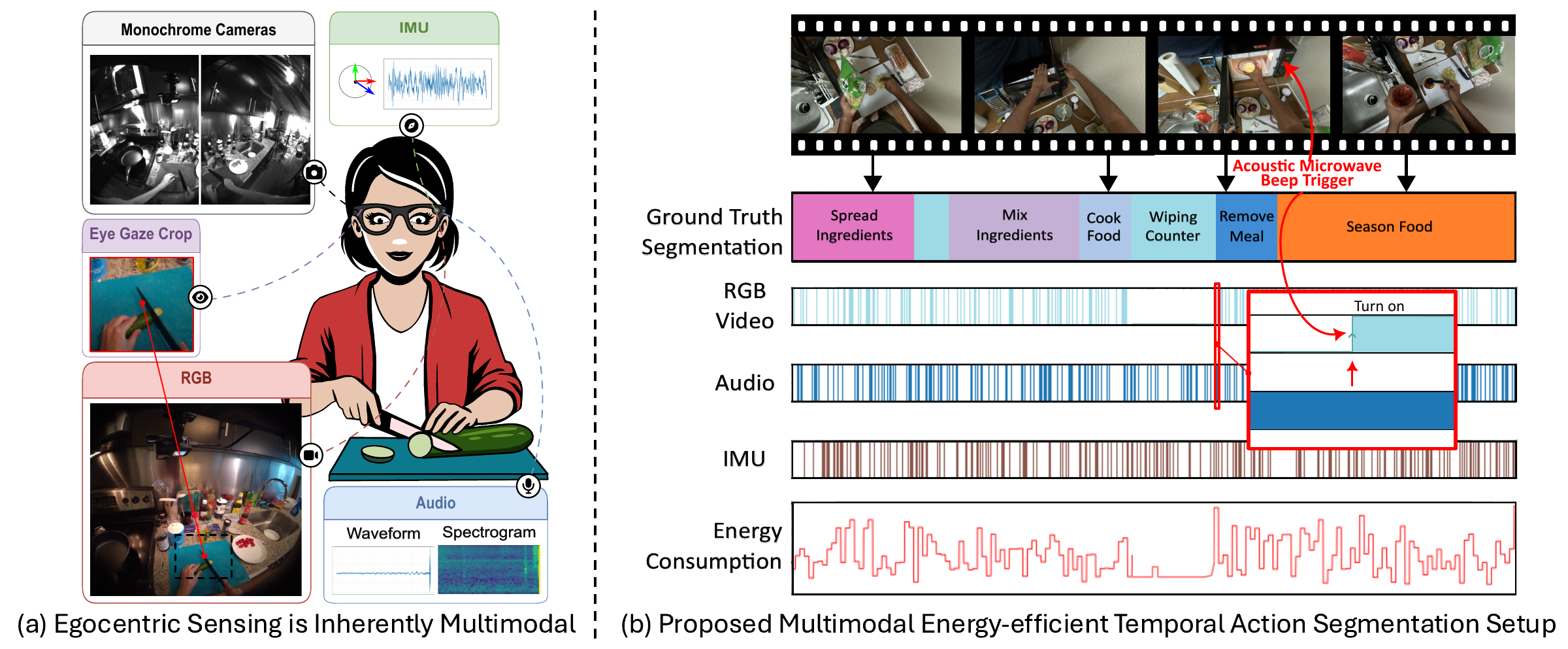 Ego-METAS: an Egocentric online Multimodal Energy-efficient Temporal Action Segmentation benchmark