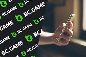 Discover the Exciting World of BC.Game Hub Your Ultimate Crypto Casino Experience
